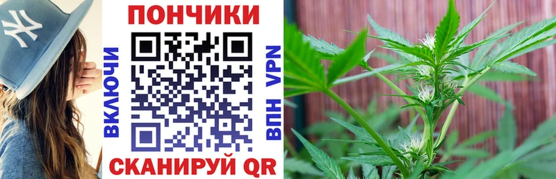 Купить где  Горнозаводск  Марихуана конопля 